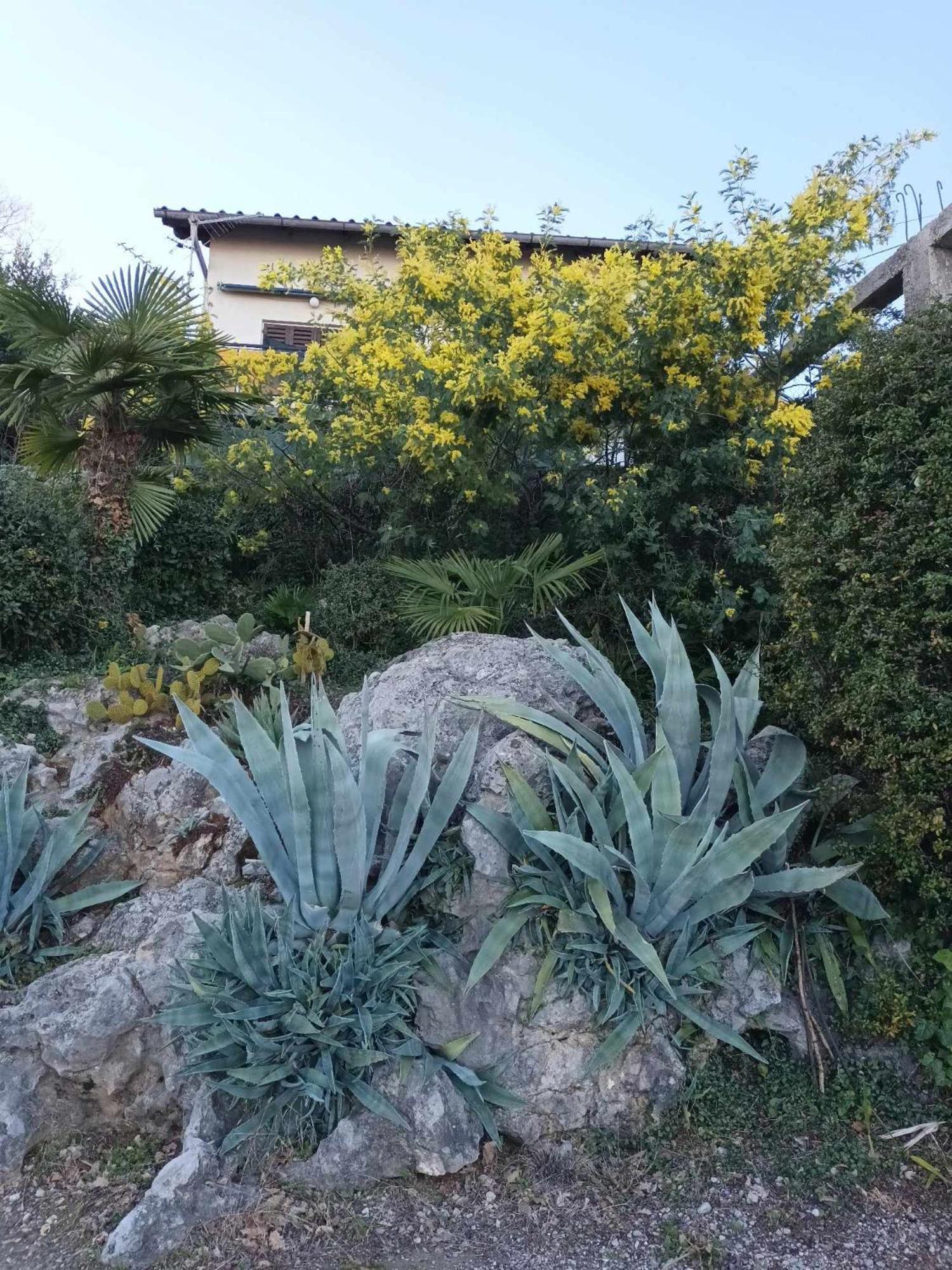 Apartment Relax Opatija Exterior foto